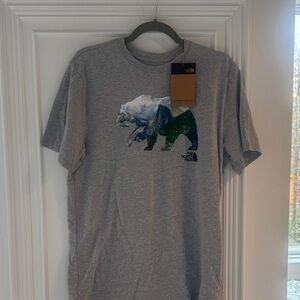The North Face Gray Graphic Tee